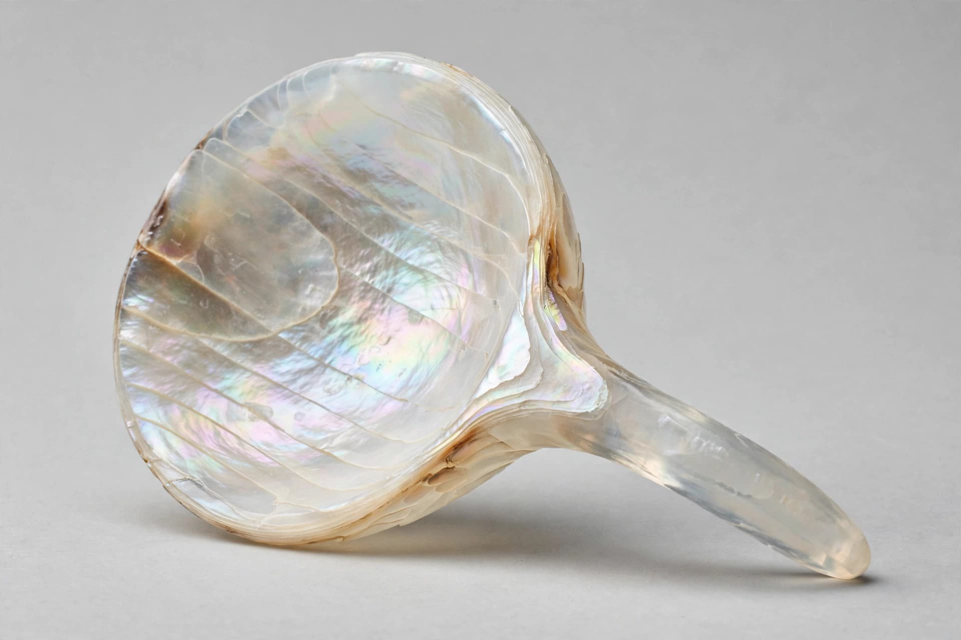 Filipino Capiz Shell Spoon — Primary view
